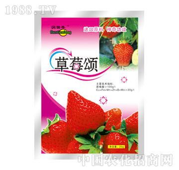 ��(r��n)��-��ݮ�