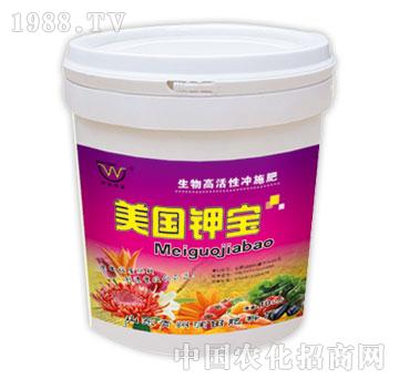 ����-����⛌����t��