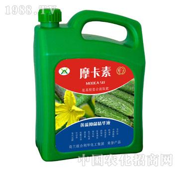 �S���־����AҺ-Ħ����-��(qi��ng)о��(gu��)�H