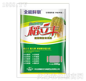 �����S-�����辌��÷�-���