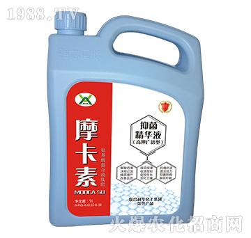 ����־����AҺ���V�V�ͣ�-Ħ����-��(qi��ng)о��(gu��)�H