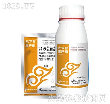 24-���|̦�؃���-�S�a��-���˹����r��