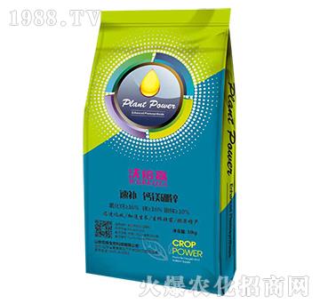 ���a�}�V���\-��������