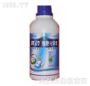 ��(x��)��������-(li��n)��-� �����