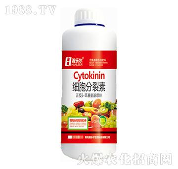 ��(x��)��������-嫘���