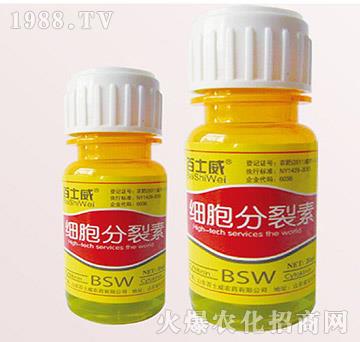 ��(x��)��������-��ʿ��