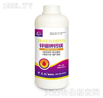 �\����}�V-����t