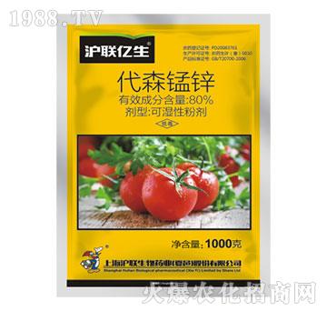 80%��ɭ�i�\-��(li��n)�|��-��(li��n)