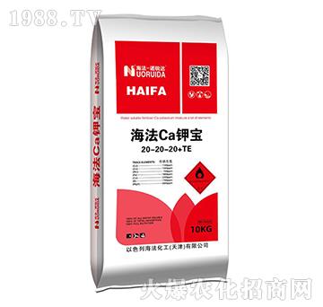 �����}⛌�20-20-20+TE-�Z�J�_(d��)-��������