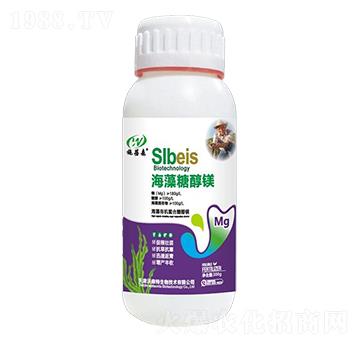 �����Ǵ��V-ʩ��ɭ-��ɭ��