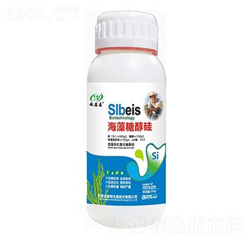 �����Ǵ���-ʩ��ɭ-��ɭ��