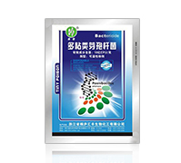 ����̿�Ҳ���(zhu��n)��-�R�S