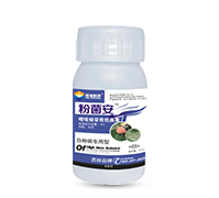 �۾���-���԰׷۲���(zhu��n)��