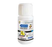 ̿�Ҳ���(zhu��n)��-��������r��