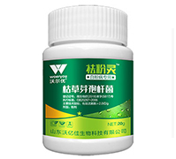 �׷۲���(zhu��n)��-����`