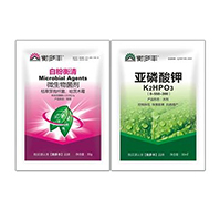 1+1�B���԰׷۲���(zhu��n)��