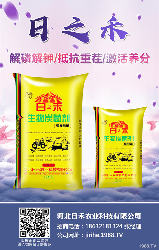 2019小麥?zhǔn)裁磿r(shí)候種植,小麥種植注意要點(diǎn)!