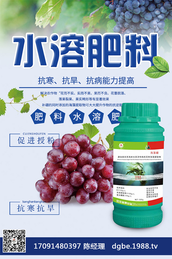 ���{(l��n)�ڰ߲�Σ���@ô��������ԓ��η����������������