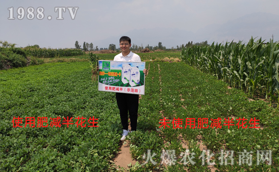 好產(chǎn)品用事實說話,“肥減半”用過的農(nóng)戶都說好!