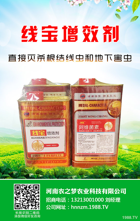 �۲˰l(f��)ѿ����ν�Q���۲˵Ĵ�ѿС������