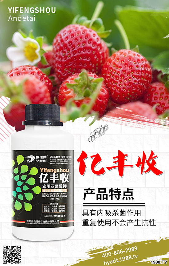 ������ʩ�ʮa(ch��n)��������������[�߮a(ch��n)ʩ�ʷ���