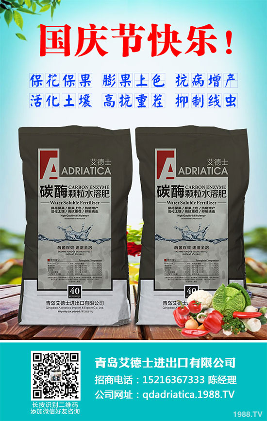 香蔥連作危害大,到底該如何解決?香蔥連作障礙及高產(chǎn)管理技術(shù)!