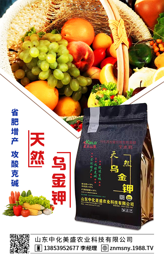 �۲˞�ʲô�����F(xi��n)�������۲˿��ĵķ��δ�ʩ��