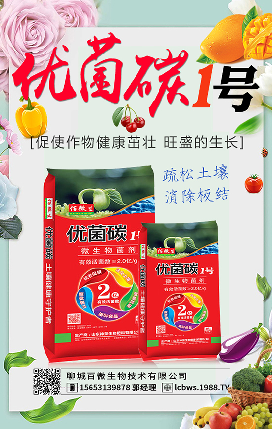 �ĳǰ�΢���＼�g���޹�˾1