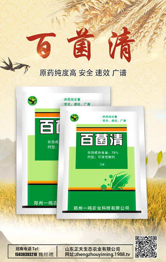 ɽ�|�������B(t��i)�r�I(y��)���޹�˾