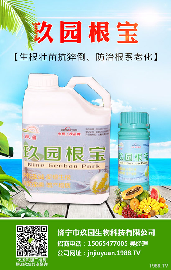 �������x��η����������x��Σ�����l(f��)��Ҏ(gu��)����