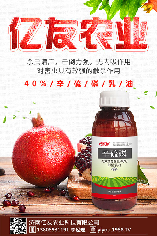 �D÷�N����ô�N���D÷�N�ӷNֲ������