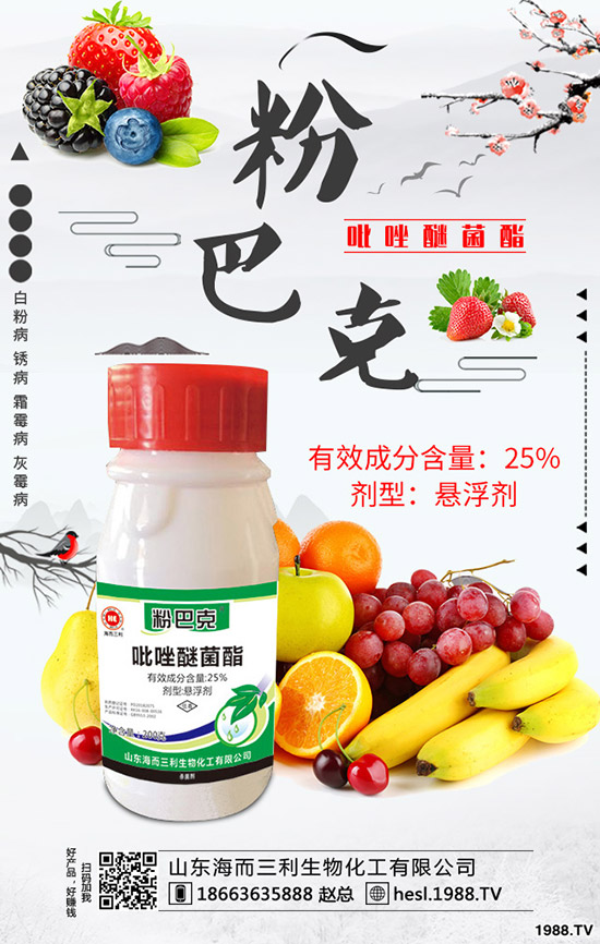 2020���J�S�Nֲǰ����ô�ӣ��J�S��ηNֲ��