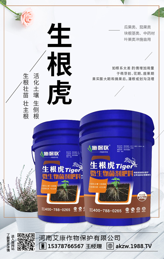 ���ϰ������ﱣ�o���޹�˾