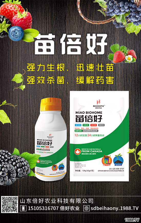 ����ʲô�r(sh��)��Nֲ������ʲô�r(sh��)����գ�