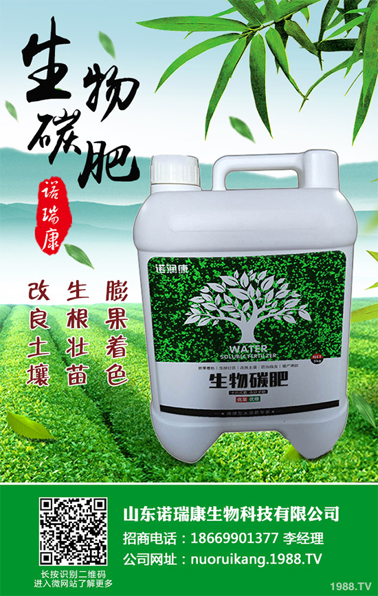 ����������ԓ��ô�N�������@���c(di��n)���p�ɷN����������