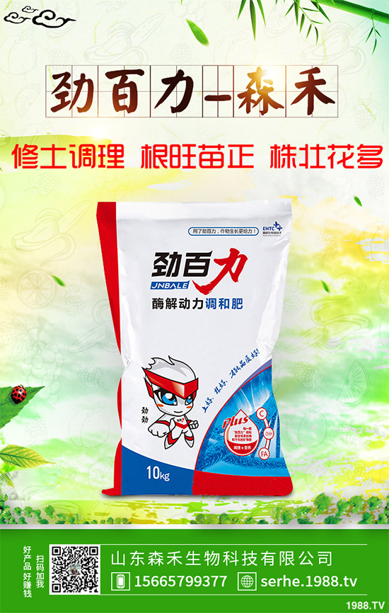 油麥菜霜霉病有哪些危害癥狀?有哪些表現(xiàn)?油麥菜霜霉病的防治措施