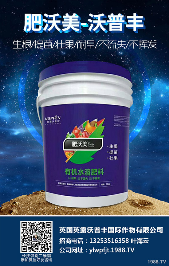 說起油麥菜,相信很多朋友都喜歡吃,不論是炒著吃,還是燙著吃油麥菜都有不一樣的風(fēng)味,油麥菜是我們常見的的蔬菜之一,油麥菜的營養(yǎng)價值略高于生菜,而遠(yuǎn)遠(yuǎn)優(yōu)于萵筍。那么,油麥菜的營養(yǎng)價值有哪些?吃油麥菜有哪些好處呢?