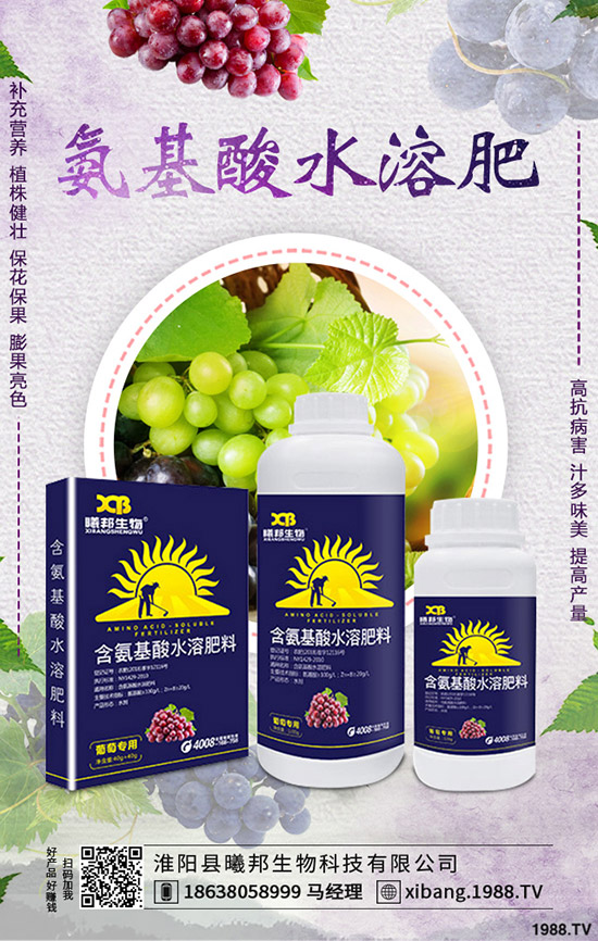 �＾�}����ô�Nֲ���＾�}���Nֲ���g(sh��)������Ҫ�c(di��n)��