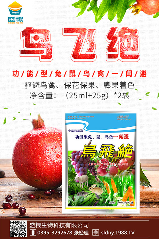 �������t������ڷ����������t���ڷ۷�������Щ��