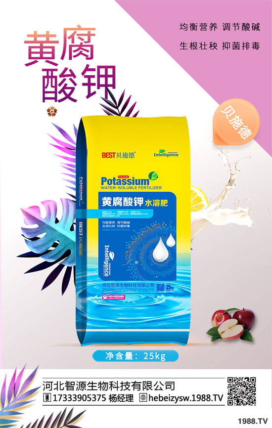 ����ը���ӷNֲ�����¹����༼�g��