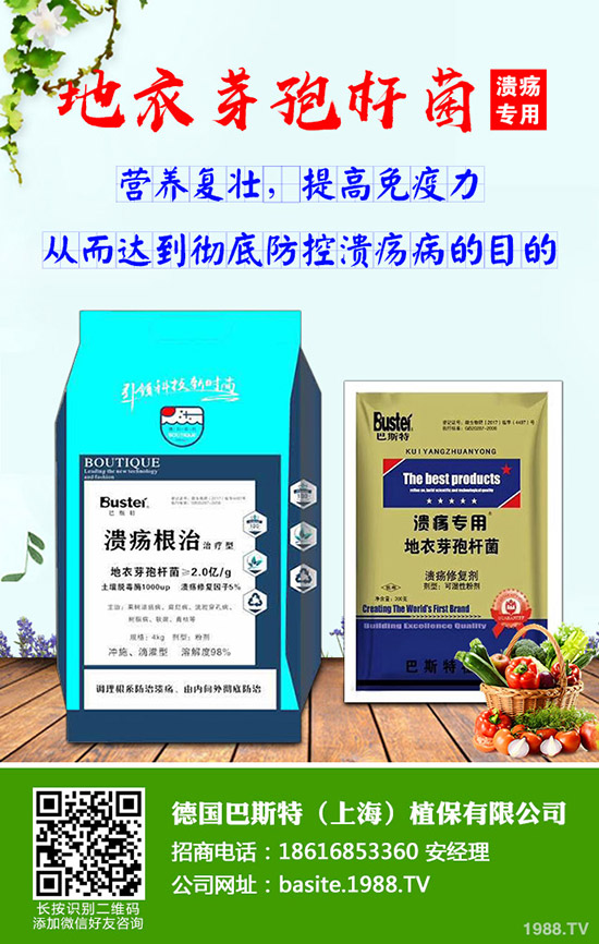 今日國(guó)內(nèi)各地磷銨最新報(bào)價(jià)及行情分析早報(bào)2019-10-9
