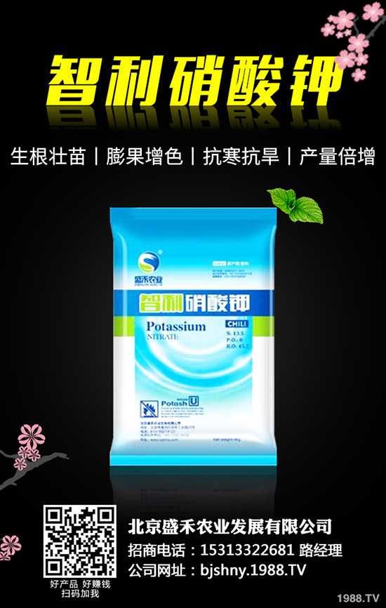 �ڶ�ʲô�r(sh��)��Nֲ���ڶ��ķNֲҪ�c(di��n)����Щ��