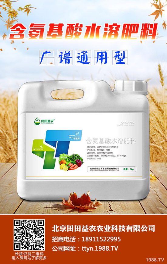 ⛷ʃr(ji��)���^�m(x��)���{(di��o)��⛷ʃr(ji��)������һ�[2019-11-14