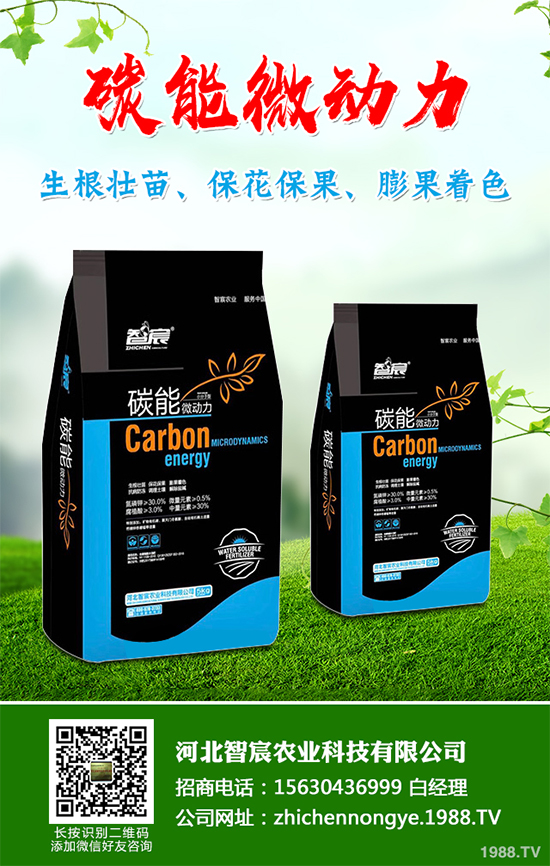 ���������߲˷Nֲԓע��ʲô����ӛ�e�M(j��n)�@�����`�^(q��)