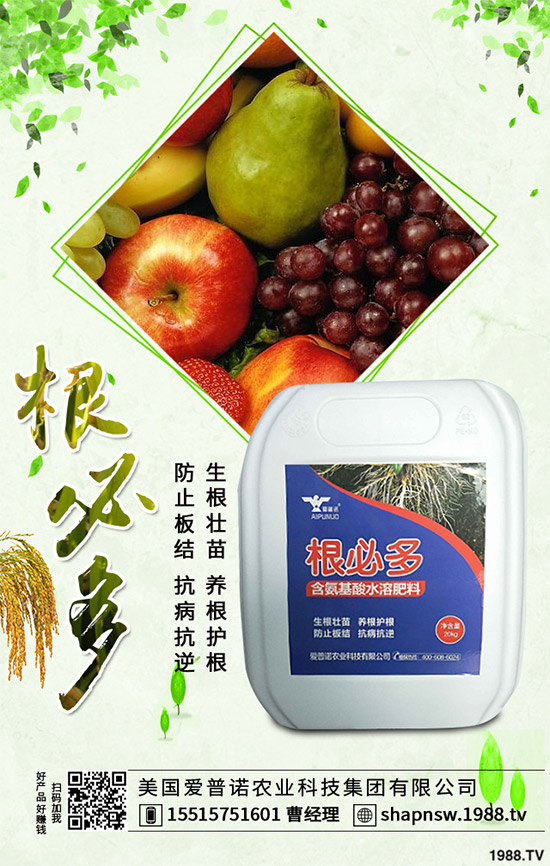 ������ô�������ܸ߮a(ch��n)�����Ӹ߮a(ch��n)�ߴ������ʩ