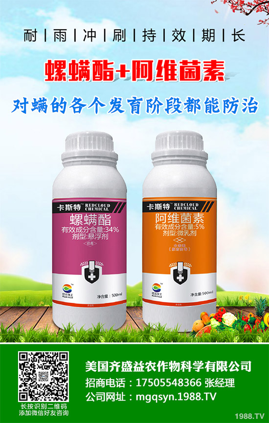 ���g�wԭˎ�r(ji��)������