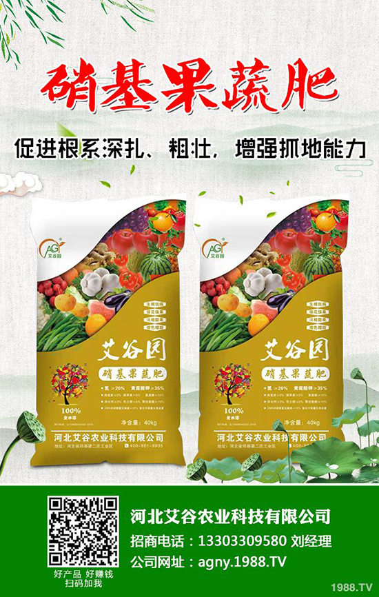 ⛷ʃr���µ�һ����2019-11-16���ո��؅^(q��)⛷��������S��r��