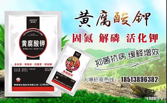 �VԴ�S����⛡�����Ʒ����1����=8���ЙC�ʣ��½�Դ�^ֱ�l(f��)������