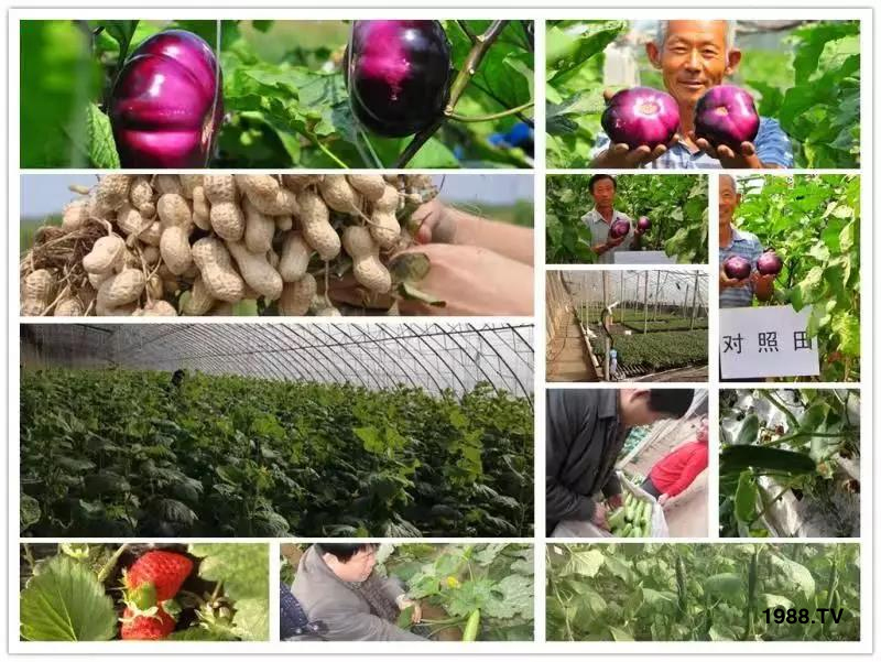 �VԴ�S����⛡�����Ʒ�ʣ�1����=8���ЙC�����½�Դ�^ֱ�l(f��)������