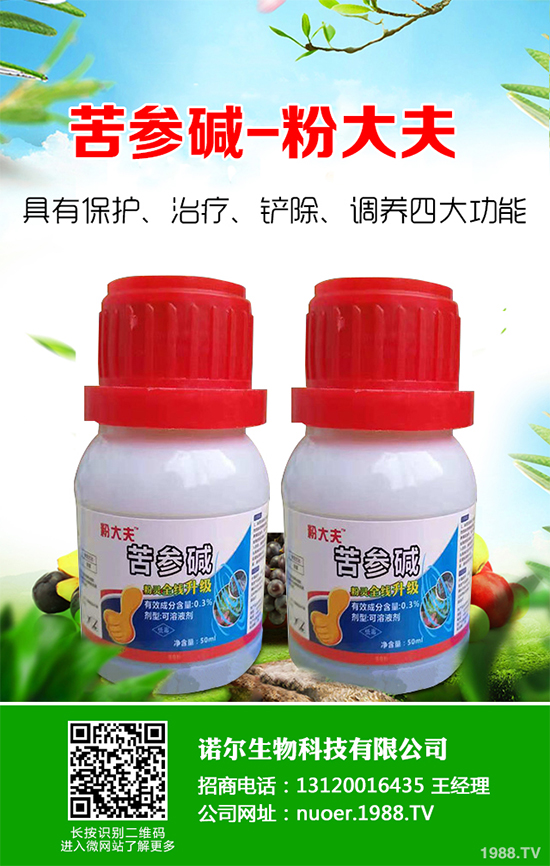 ����ͪ���x���r��